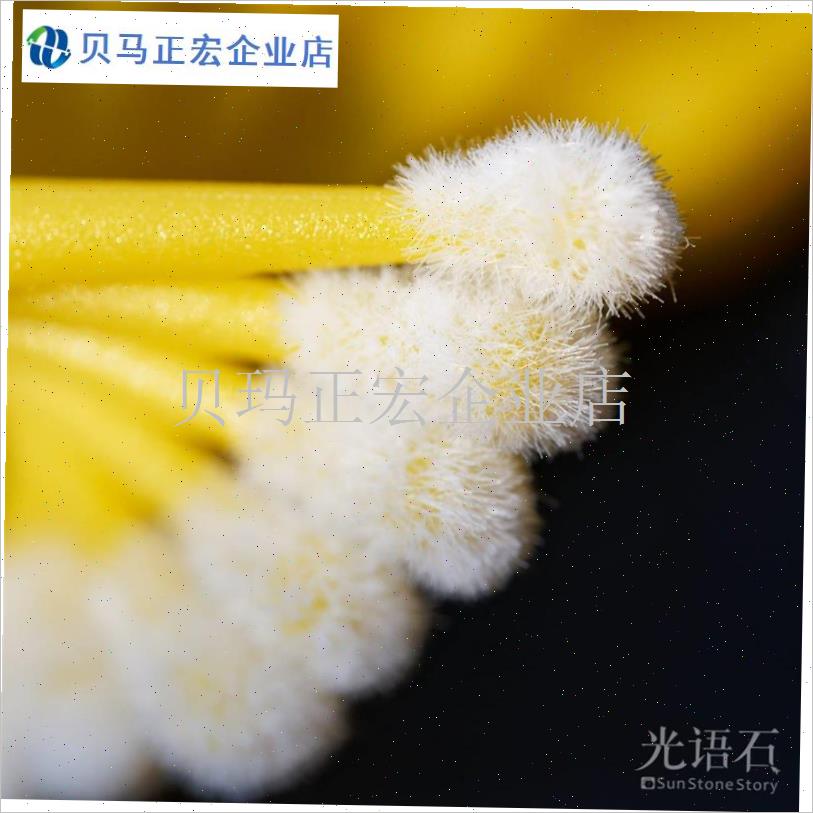 授粉笔罗汉果人工授粉p工具西红柿黄G瓜西瓜多肉点花授粉刷棒神