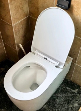 厕所板平面坐便器座便器上装老式盖板UOV型通用型薄款脲醛盖板