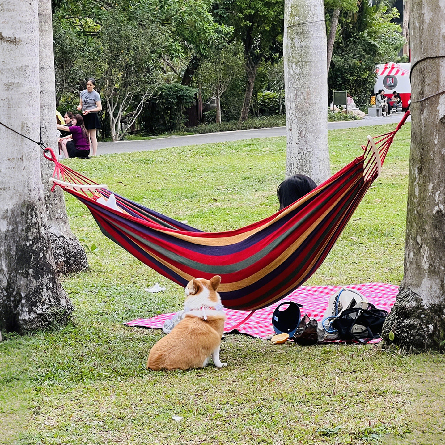 彩虹吊床！春游户外双人秋千加厚防侧翻儿童庭院承重吊篮宿舍吊椅