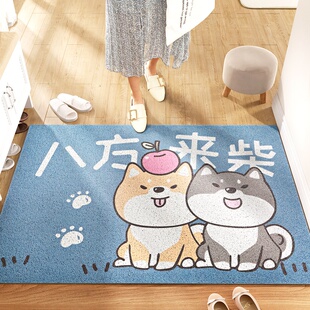 极速Entranceh mat loop floor PVC door entrance