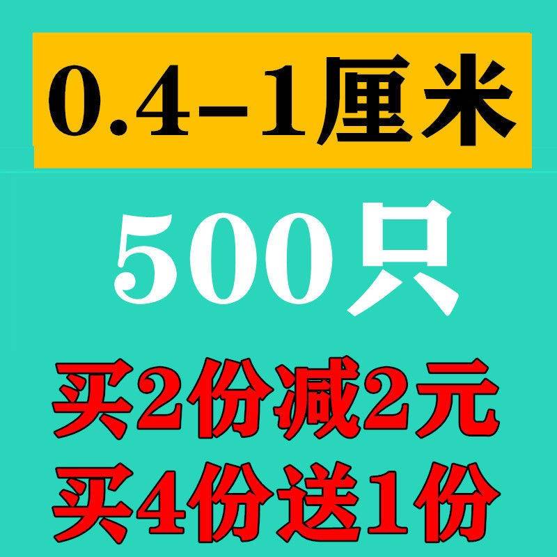 杜比亚蟑螂活体幼体亚成繁殖组蜥蜴龙鱼守宫蜘蛛活饵饲料.