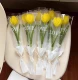 1 упаковка желтых тюльпанов [готовый продукт]