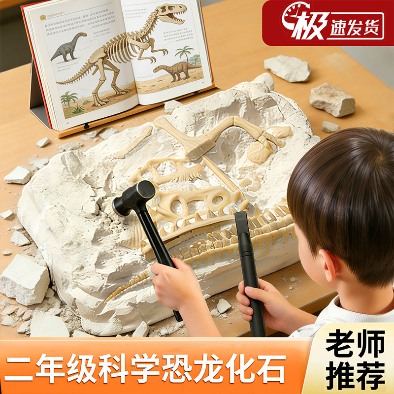 恐龙化石考古挖掘玩具二年级下册科学小实验套装学生恐龙骨架模型图片
