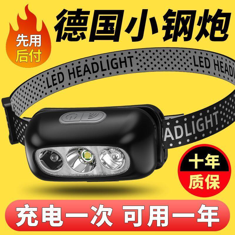 德国进口感应头灯头戴式强光头灯超亮可充电夜钓鱼专用超轻便携式