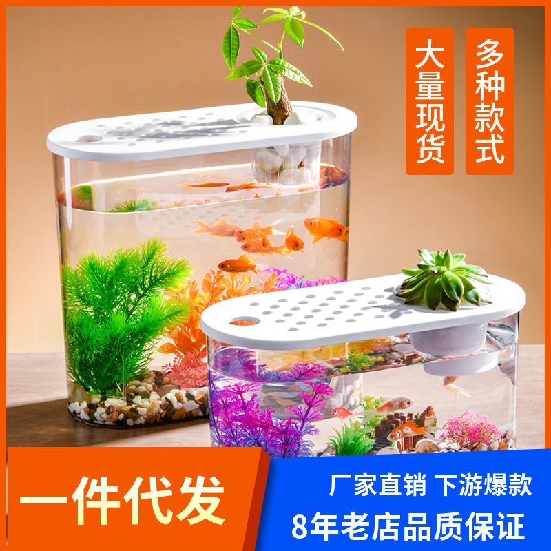 桌面鱼缸小型家用客厅超白塑料生态造景亚克力网红养金鱼新款