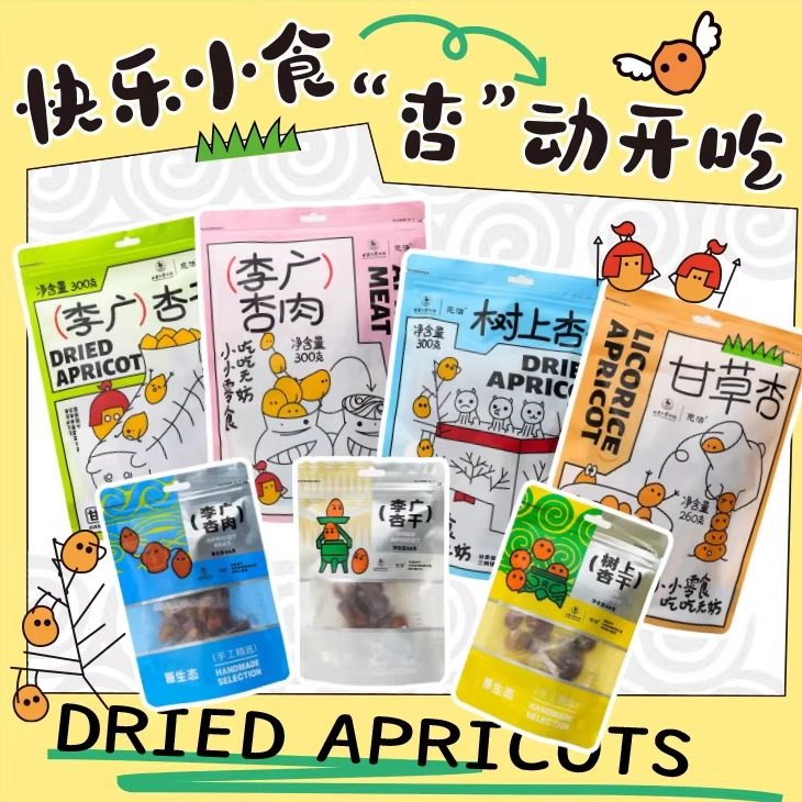 甘肃省博物馆杏干杏肉小零食果干零嘴果脯肉酸甜可口美味伴手礼物