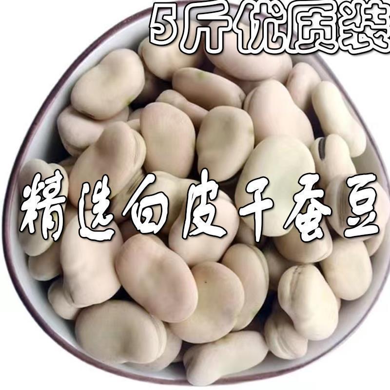新上市白皮干蚕豆农家生蚕豆5斤新鲜罗汉豆胡豆馋豆蚕豆种子 干货