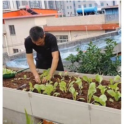 楼顶种菜专用土养土有机肥营养土草炭土工程绿化泥炭土楼顶种菜土