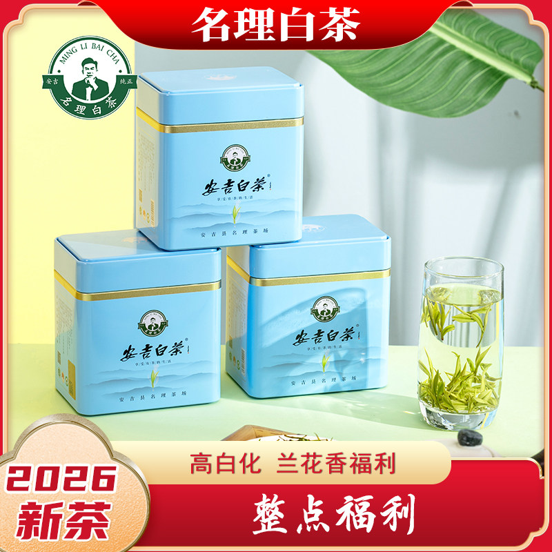 名理白2026新茶春茶明前特级图片