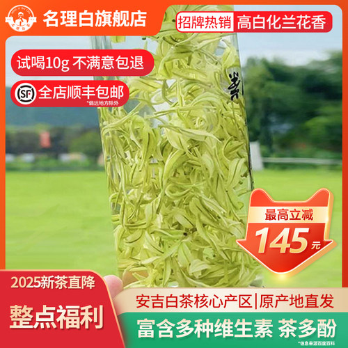 名理白2025新茶春茶明前特级