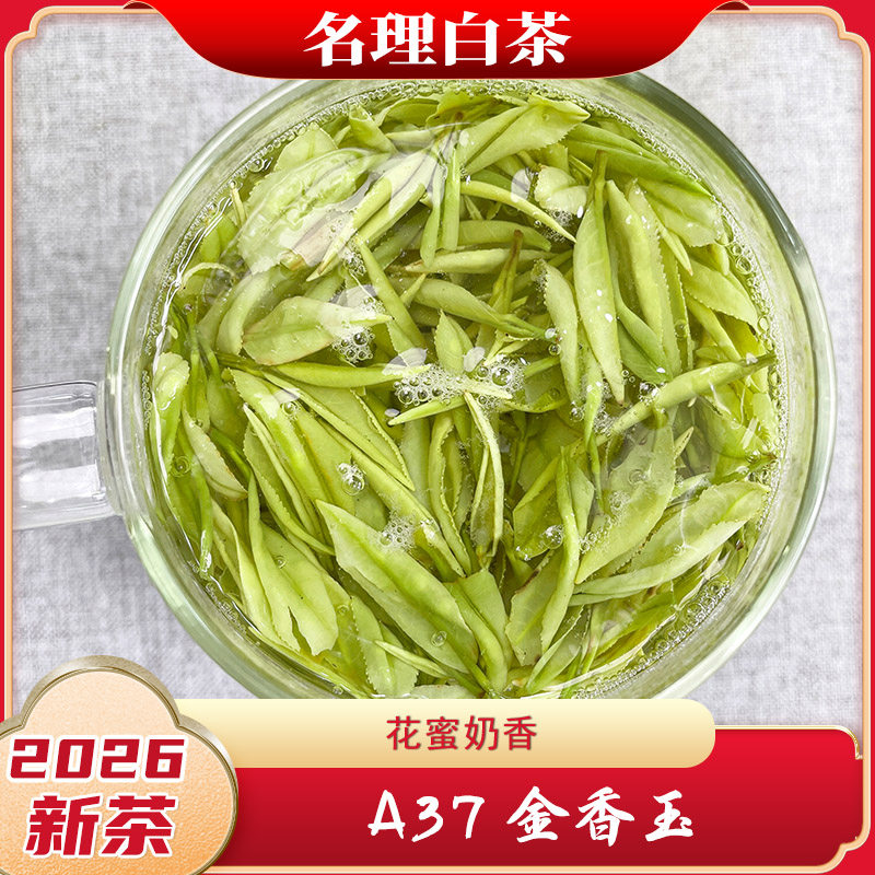 2026新茶名理白A37金香玉白茶图片