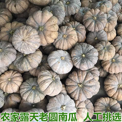 糯甜农家自种磨盘老黄辅食南瓜