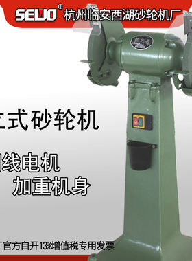 杭州SEWO临安西湖250立式落地式