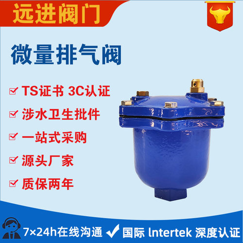 微量排气阀快速自动疏气阀DN1520