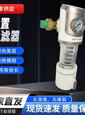 万向前置过滤器带表反刮洗滤水器