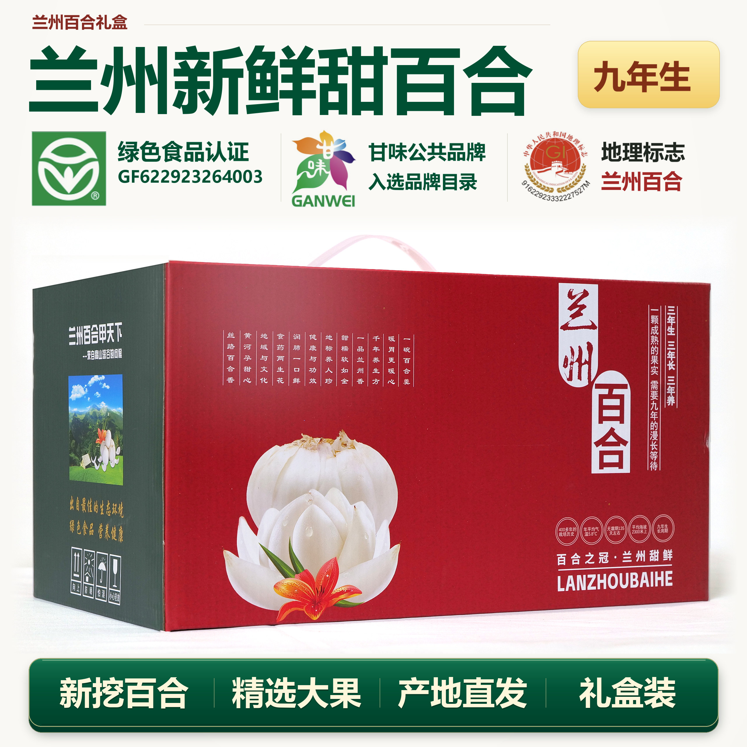 当季兰州新鲜甜百合礼盒装甘肃特产食用水果新挖农家礼品精选