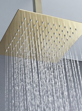 拉丝金嵌入墙式暗装淋浴花洒预埋盒全铜天幕雨淋喷头大淋浴AL2001