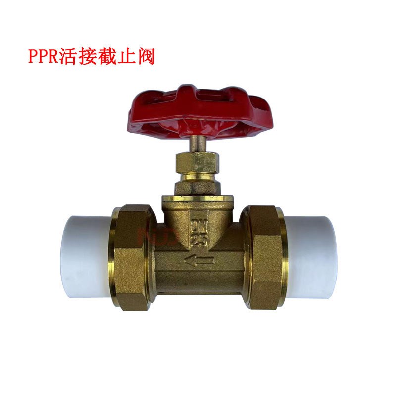 PPR双活接截止阀 热熔球阀 焊接阀门 手轮闸阀 DN20  25