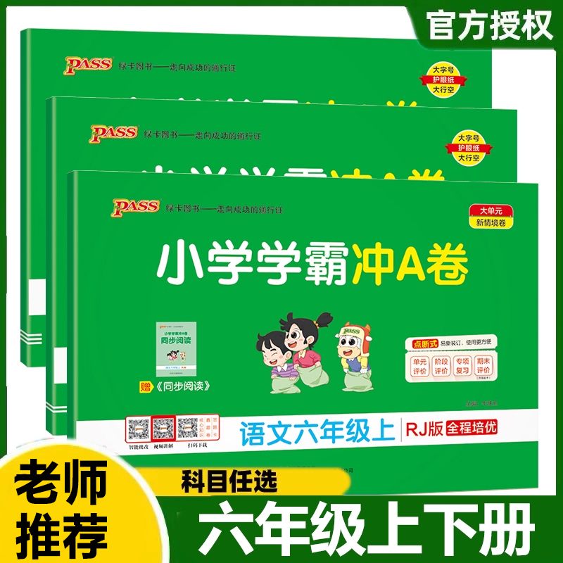 2022新版小学六年级试卷语文
