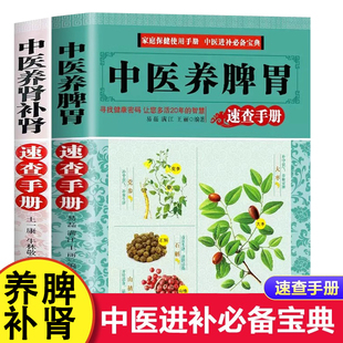 中医养肾补肾脾胃 饮食食谱药膳按摩推拿穴位图预书籍中药材壮阳补肾养脾胃中医养生大全书 中医进补宝典 养好脾胃抵抗衰老