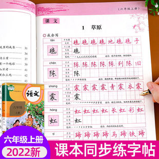 写字课课练六年级上册 同步练字帖临摹习字本写好字楷书专项练