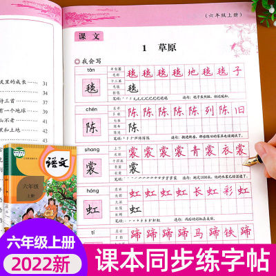 写字课课练六年级上册 同步练字帖临摹习字本写好字楷书专项练
