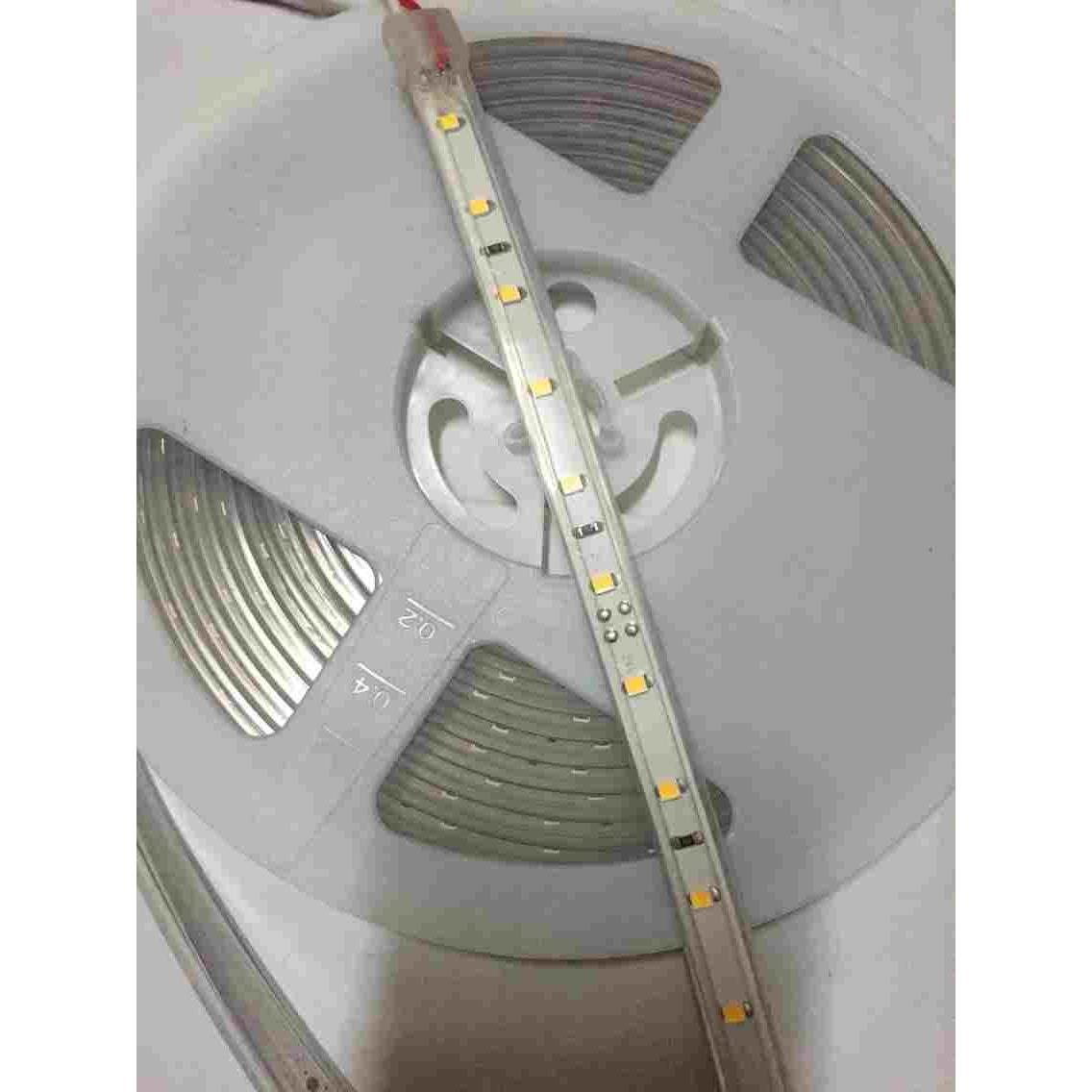 LED防水软灯带SMD2835 直流24V 10W 长度5米 照明装饰灯带 全新