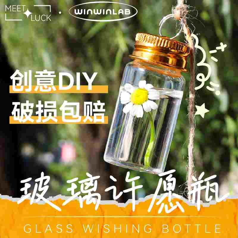 小玻璃瓶干花瓶挂件迷你许愿铝盖试管diy沙画创意墙壁装饰摆件图片