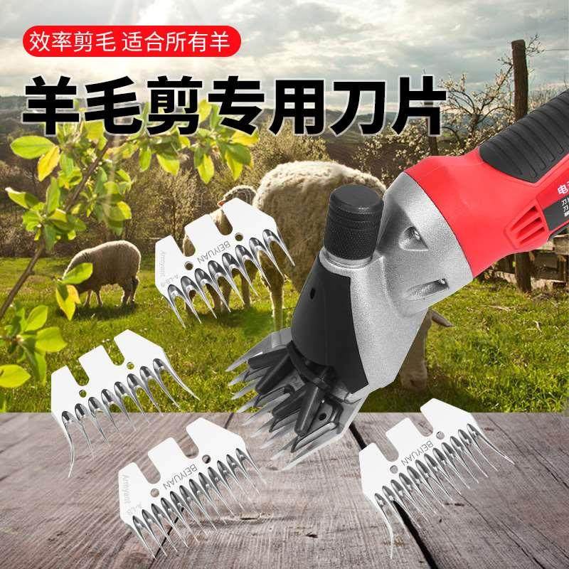 阿斯珈电动羊毛剪刀片剃毛器剪子直齿13弯齿剪毛机剪羊毛的电推子,办公设备/耗材/相关服务,其它,淘宝优惠券,粉丝福利购,淘宝优惠卷