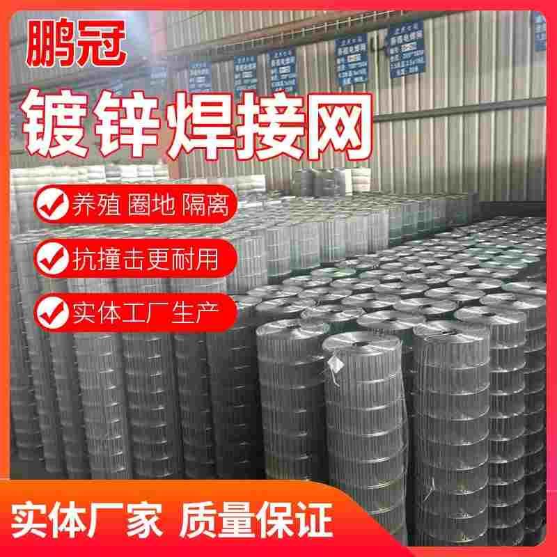 鸟笼网鹤鹑网养殖网电焊网卷长孔养鸡网家用防护镀锌铁丝网鹦鹉笼