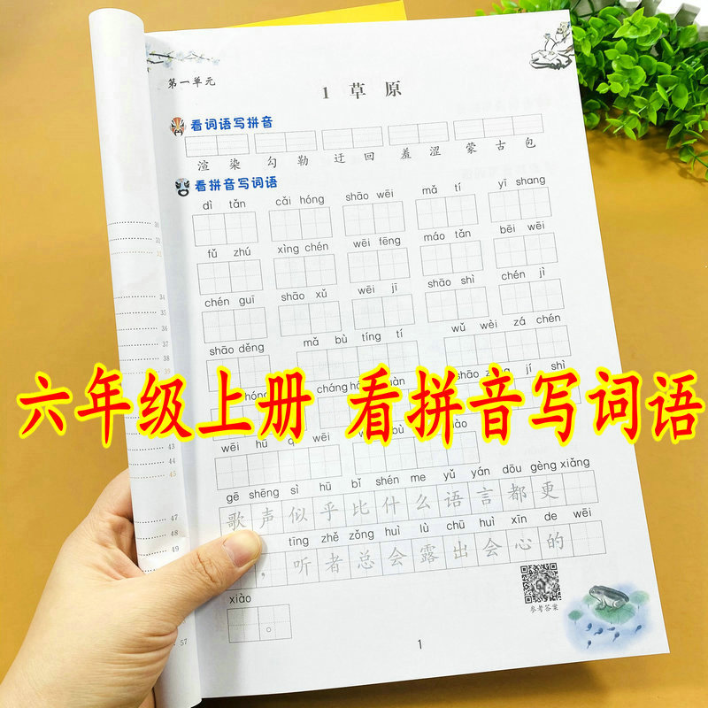 小学语文六年级上册看拼音写词语生字注音教材课本同步天天练给生字注音看词语写拼音单元词语过关训练练习题拼音词语练习题作业本