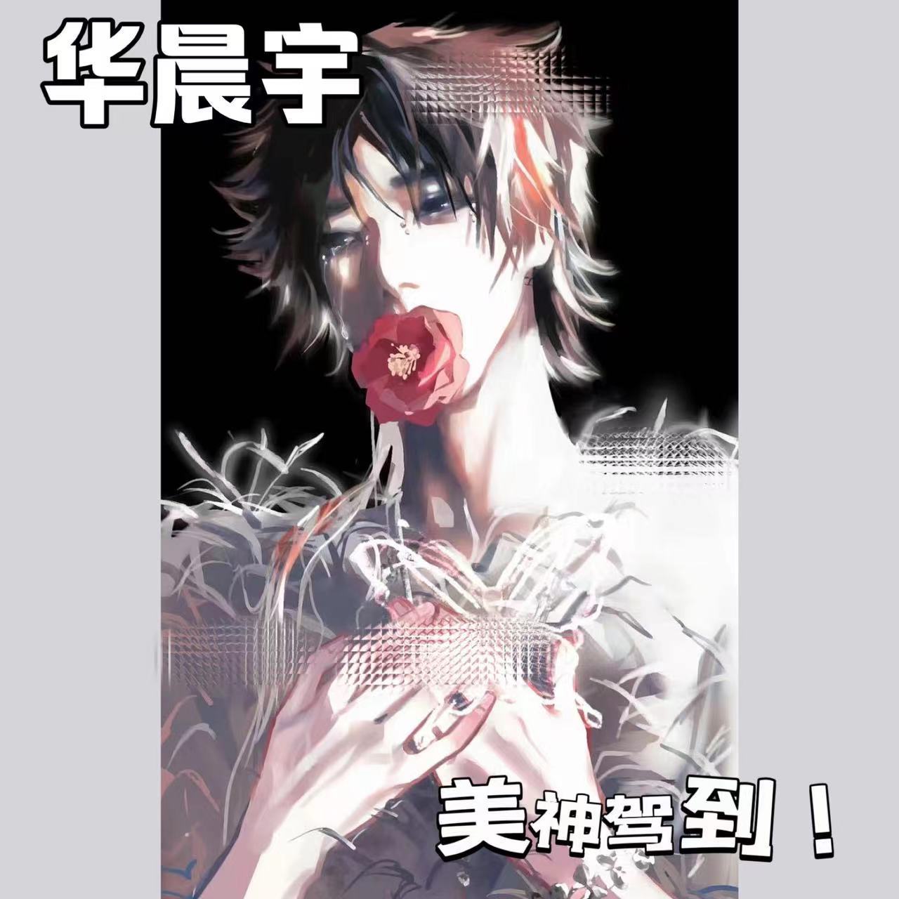 华晨宇演唱会忧郁花花set饭制手绘高颜值漫画新款亚克力立牌周边