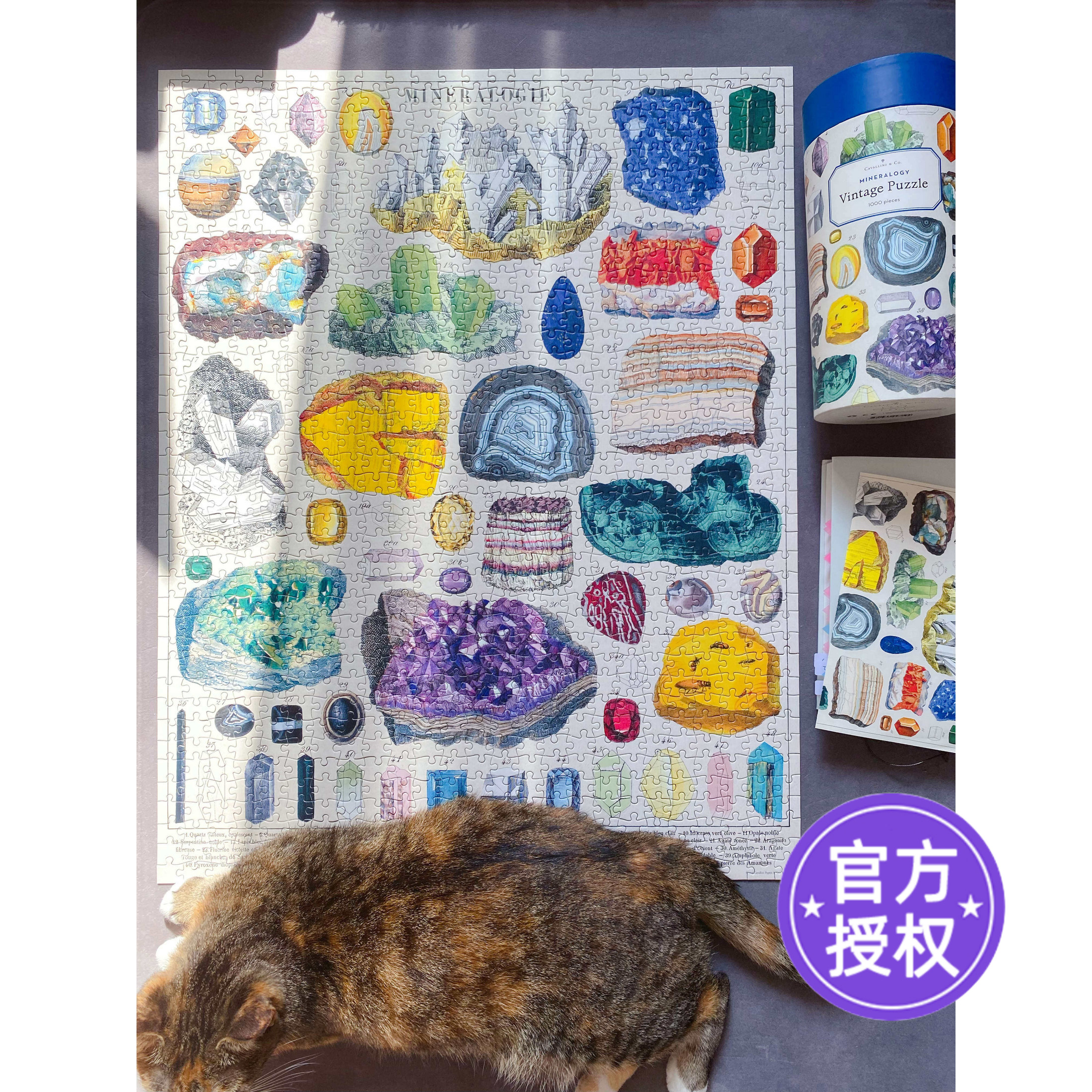 Cavallini拼图1000片矿物学