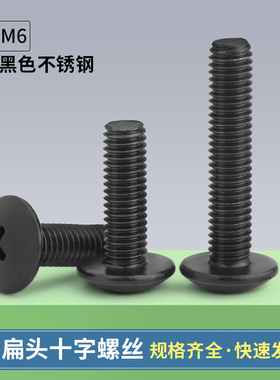 黑色304不锈钢TM十字大扁头螺丝钉蘑菇头伞头螺栓M2M2.5M3M4M5M6