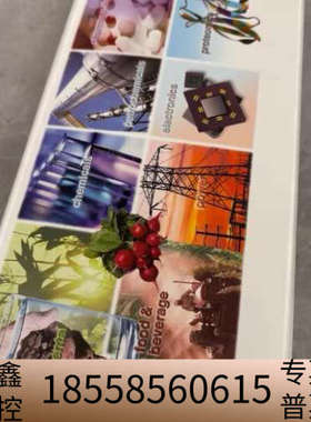 赛默飞戴安离子色谱阳离子色谱柱，CS12A? CG12A，4