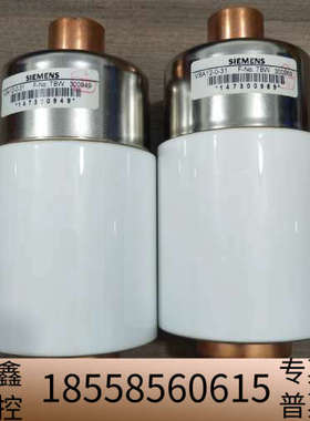 VSA12-0-31真空搅拌器