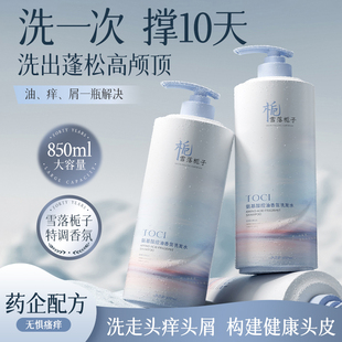 北大研发×TOCI氨基酸洗发水控油去屑止痒蓬松持久留香正品