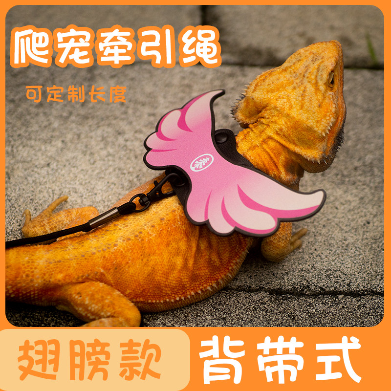 可爱翅膀遛守宫鬃狮蜥蜥蜴绳牵引绳胸背带防勒外带用品背心式