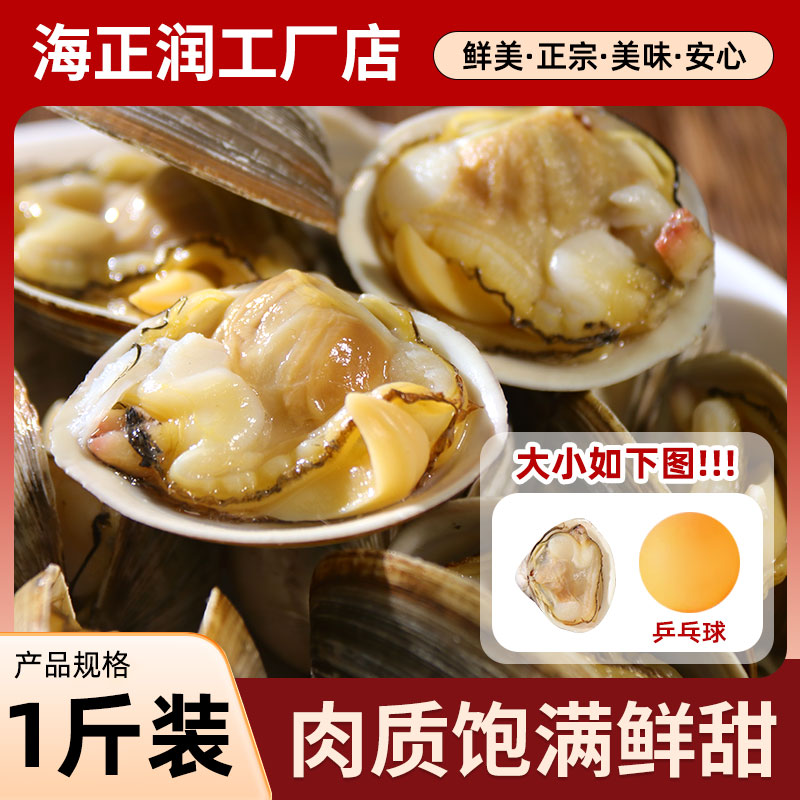 【顺丰包邮】 新鲜肥美白蚬子500g/袋 肉质饱满美味 熟食直接吃