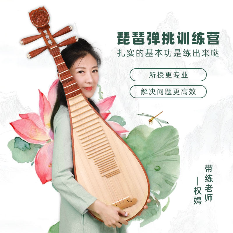 五色风 琵琶弹挑训练营直播教学琵琶名师权娉老师带练