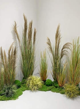 干花蒲苇草假花绿植盆栽婚庆家居装饰摆件狗尾巴草仿真花仿真芦苇
