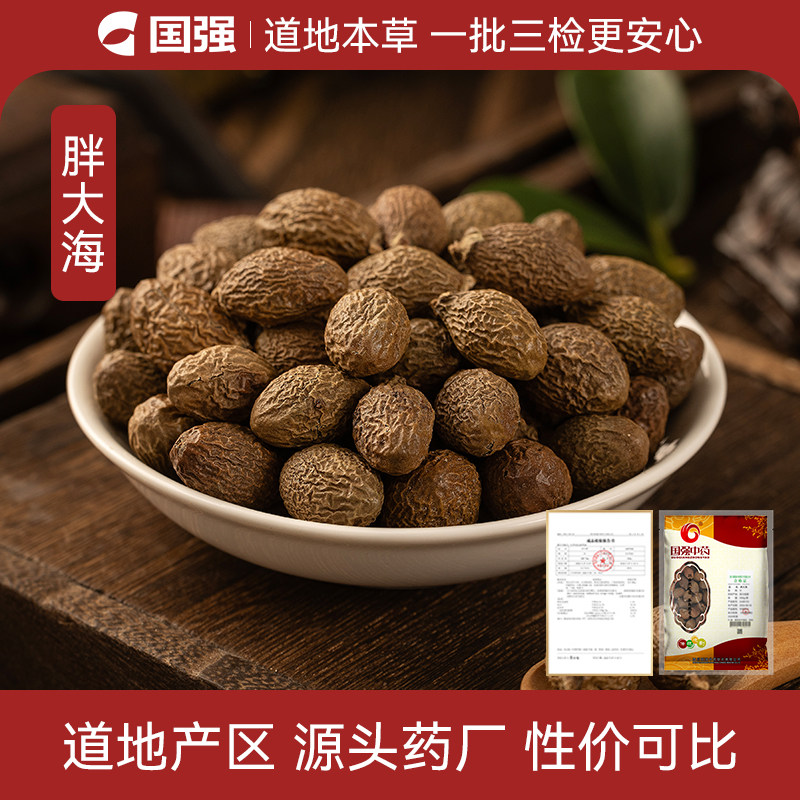国强 胖大海250g 中草药中药饮片中药材抓配中药材药厂直销