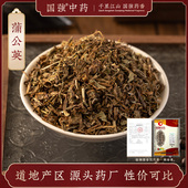 国强中药 蒲公英500g 中药饮片中药材抓配药厂直销官方旗舰店泡水