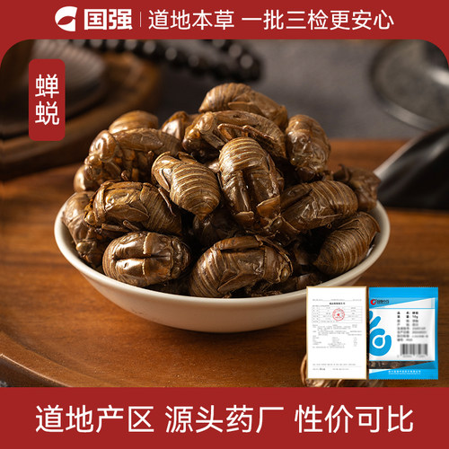 蝉蜕10g装药厂直销药典标准