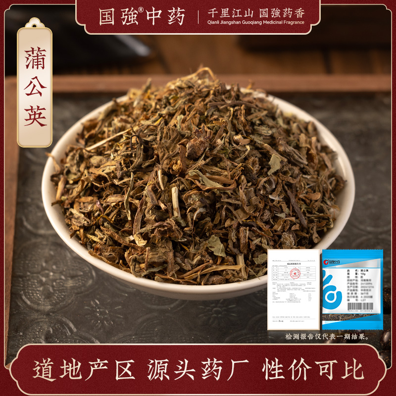 蒲公英10g装药厂直销独立小袋