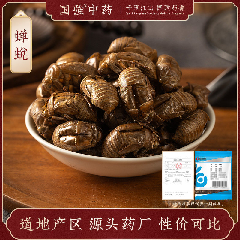 蝉蜕10g装药厂直销药典标准