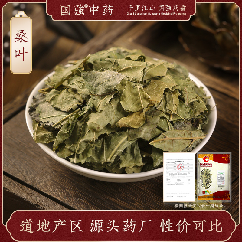 桑叶500g药厂直销药典标准