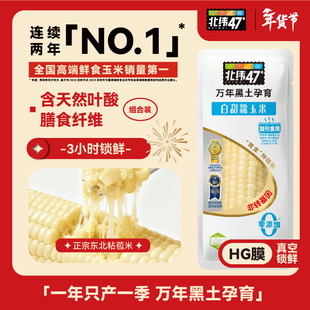 北纬47度新鲜白糯玉米真空包装黄糯玉米棒早餐代餐正宗东北糯玉米
