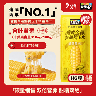 北纬47度黄甜糯玉米3小时锁鲜正宗东北糯玉米官方旗舰店独立包装