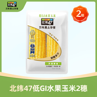 【顺手买一件】北纬47低GI水果玉米220g*2穗开袋即食